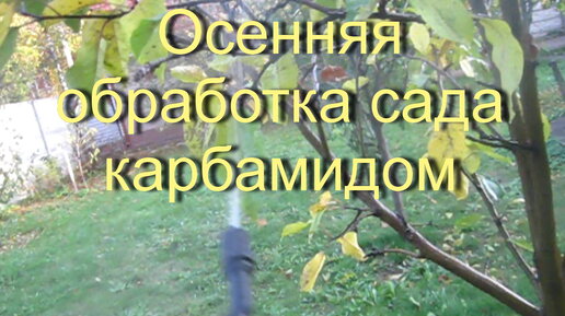 Зачем садовод осенью огэ. Искореняющая обработка сада. Старые гача обработки.