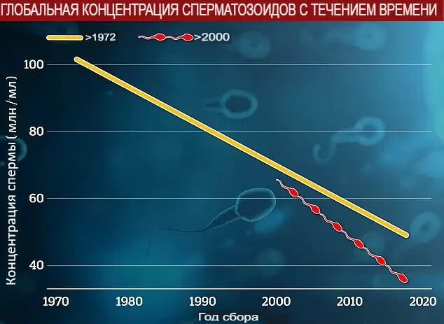 Концентрация сперматозоидов