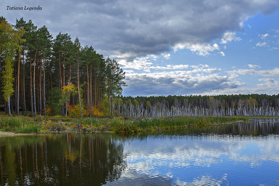 Линево отзывы. Озеро Линево.