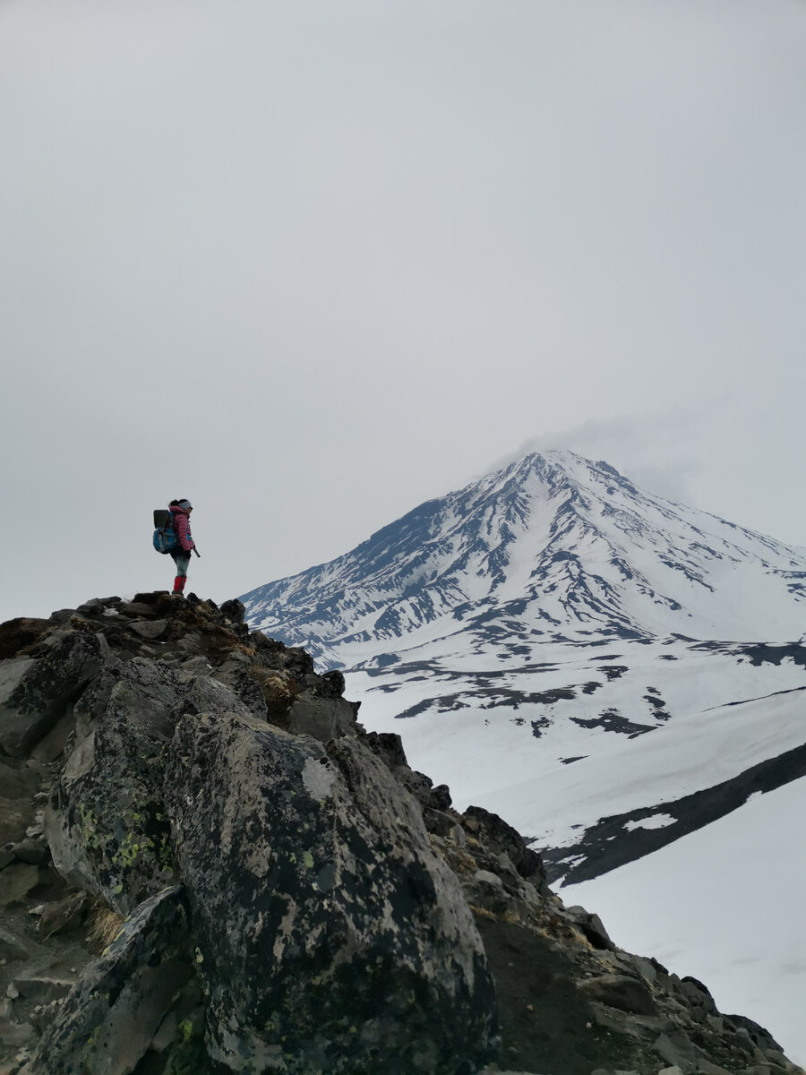 Вид на действующий вулкан Корякский с гребня горы Верблюд