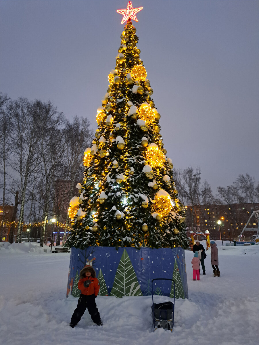 Ёлки в Березовой роще🎄 | Прогулки по городу N. | Дзен