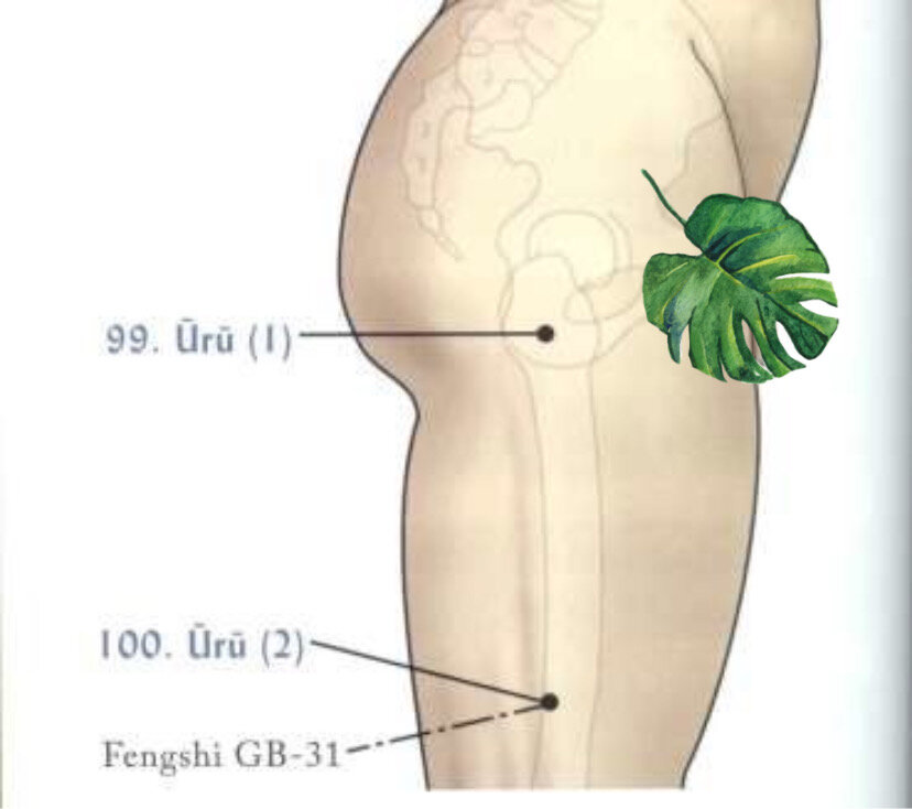 Уру 1 и Уру 2