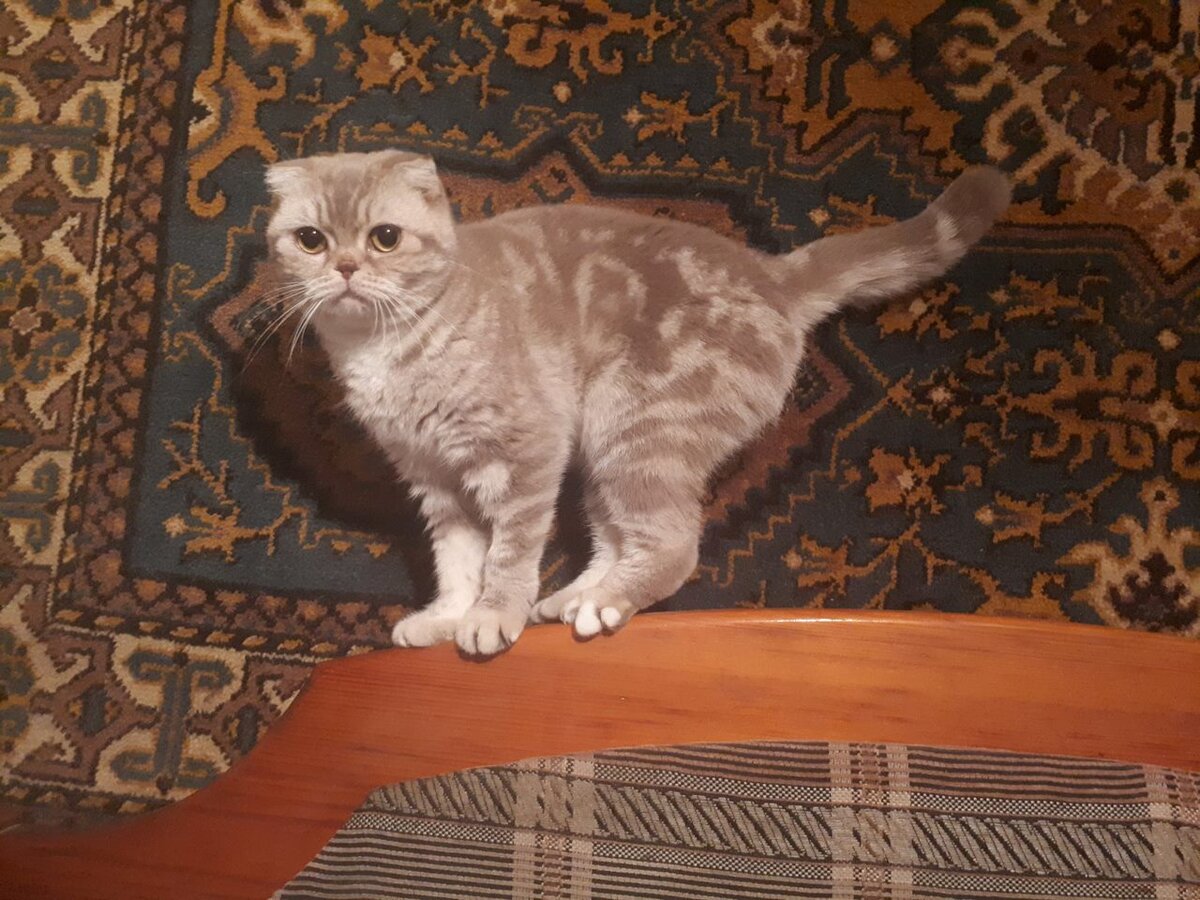 Фото из личного архива