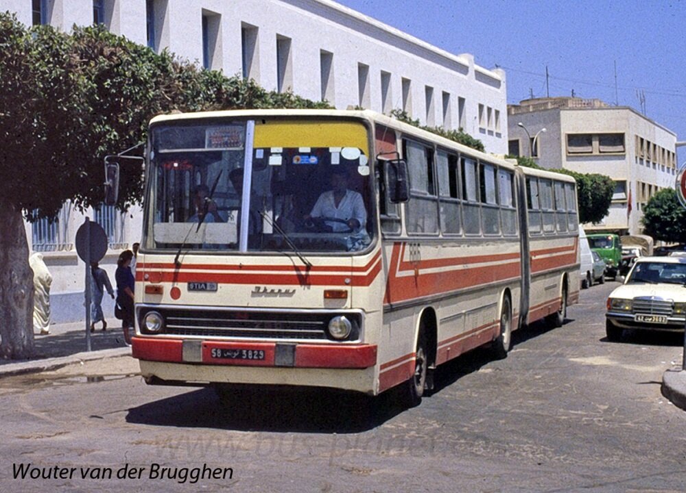 ▲ Тунис, 1993 г.