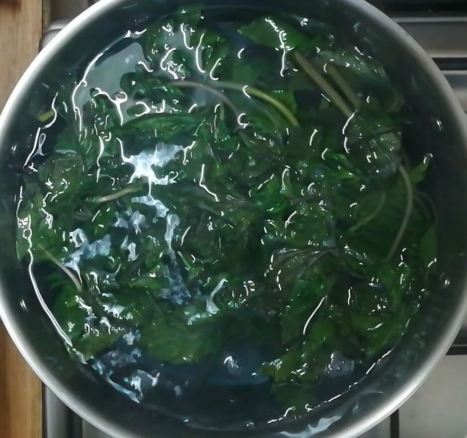 Кипячение базилика