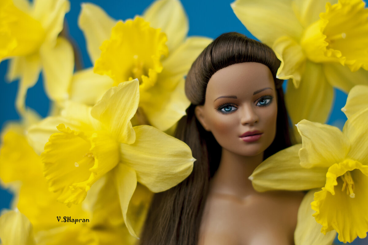 Фоография Виктории Шапран