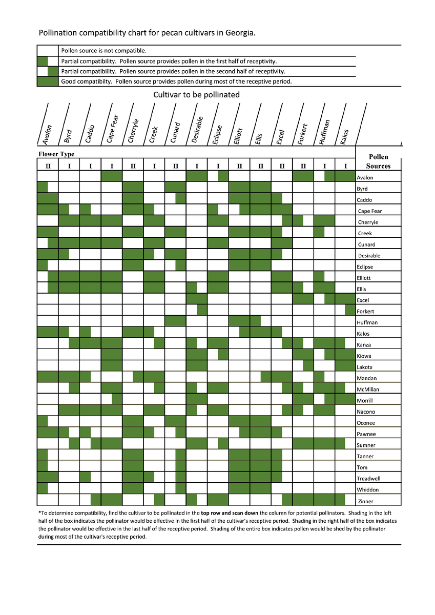 Краткая таблица, лист 1