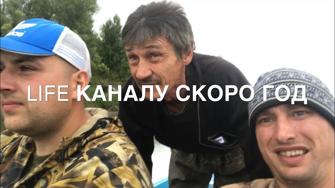 ♫ ЭТО ПОЛНЫЙ ТРЭШ ! Невероятные Приключения Томского Баяниста на крайнем  Севере .. | Семён Жоров | Дзен