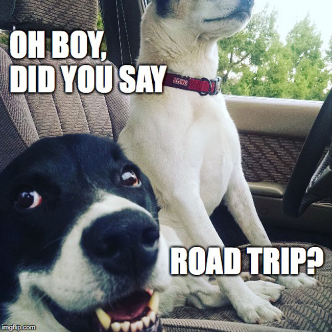 https://perfectdaytoplay.com/road-trip-meme/