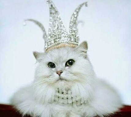 Фото с просторов Интернета.