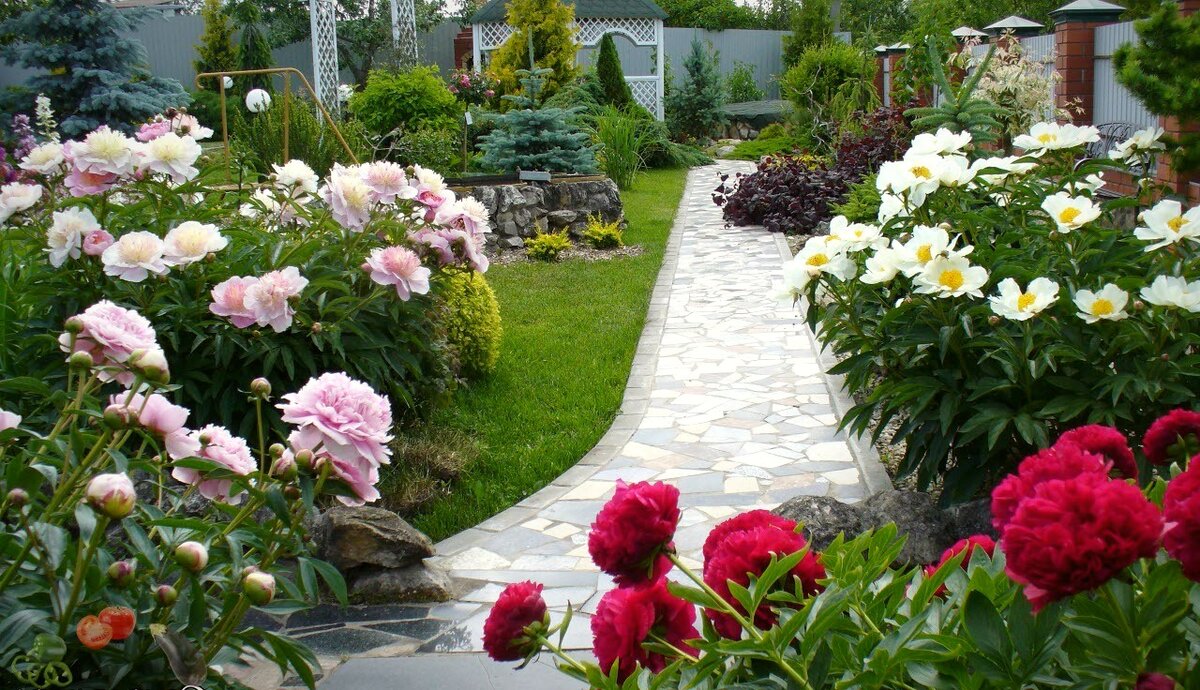 Цветы красиво смотрятся в посадках вдоль основной дороги