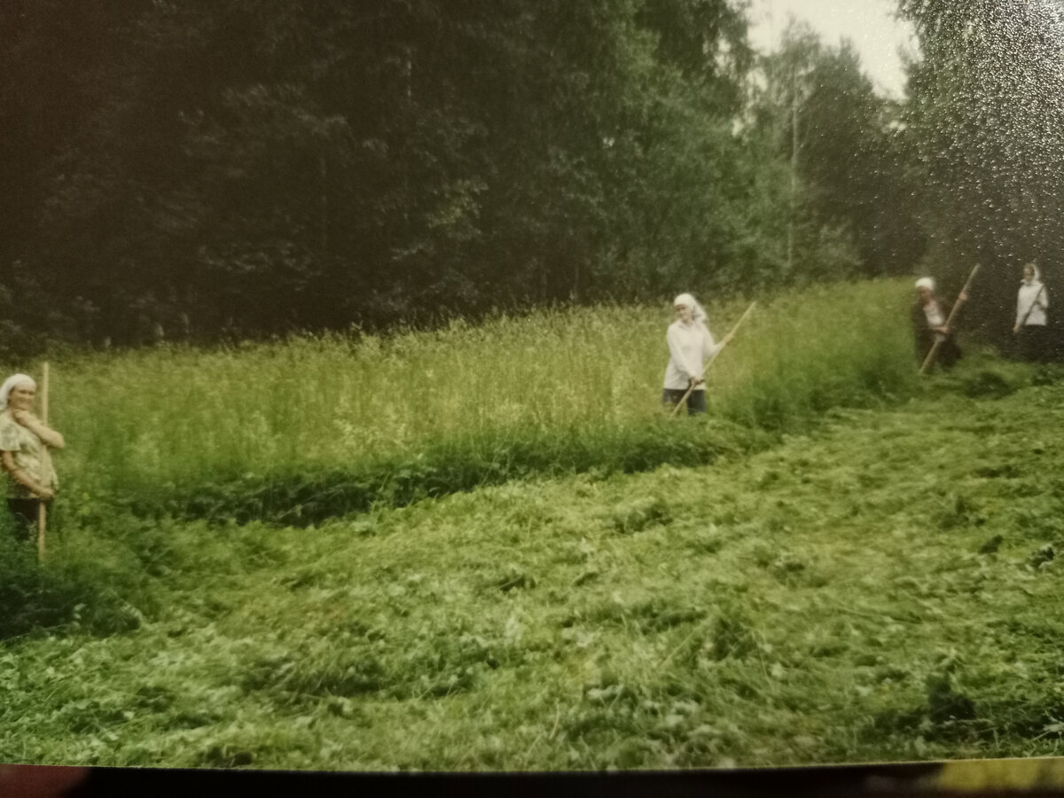 Фото автора. Дружно и много работали ранее.