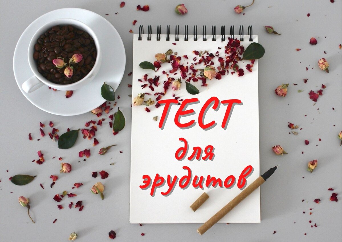 Источник изображения: pixabay.com, дизайн автора публикации