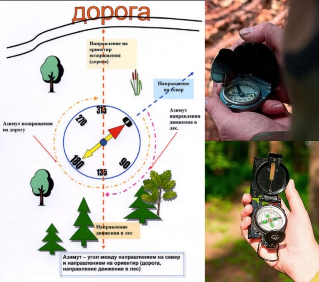 Компас в лесу. Компас ориентирование по азимуту и карте. Как правильно ориентироваться по компасу. Ориентирование по азимуту с компасом. Как ориентироваться по компасу картинки.