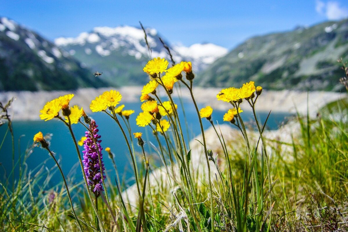 Фото с pixabay.com