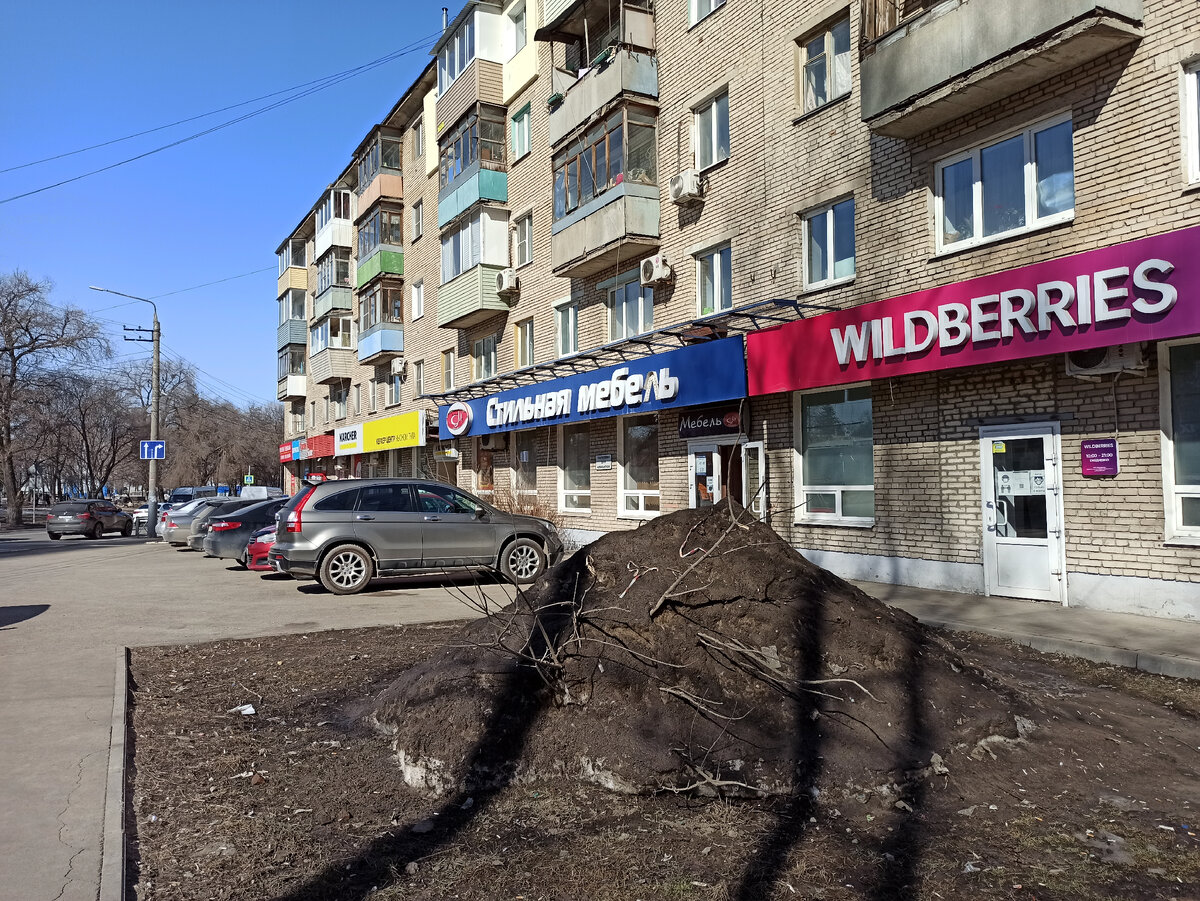 Фото автора. Это куча снега, а не чернозема 