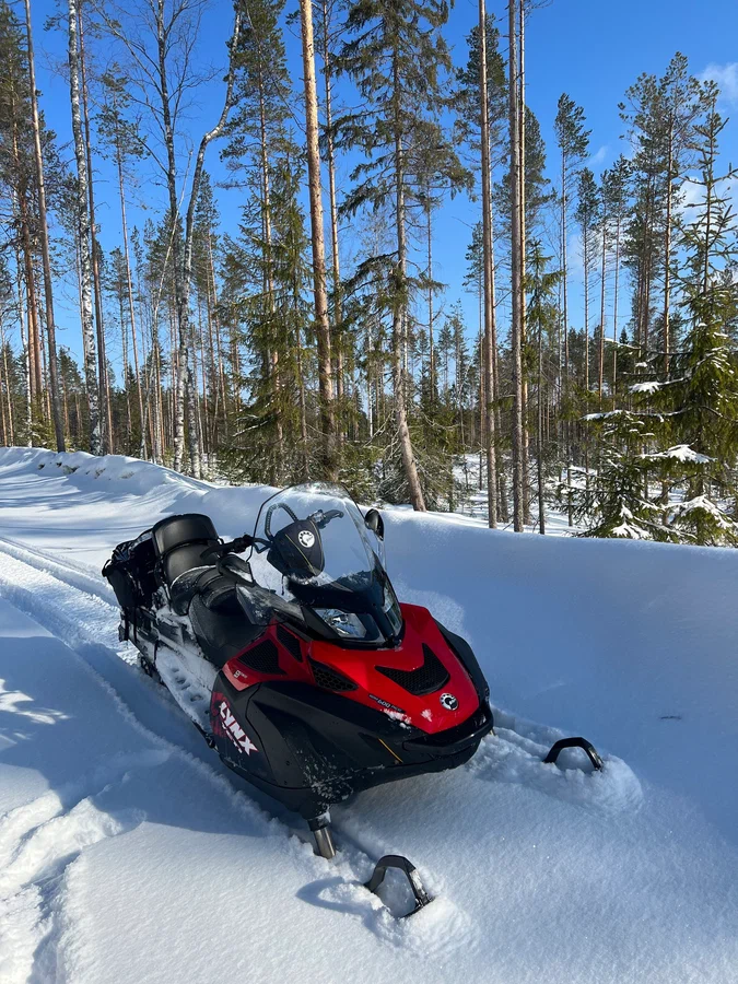 Хорош, только капот бы перекрасить. Уж больно приметный. Источник фото - https://auto.ru/snowmobile/used/sale/brp/lynx_59_yeti_600/4190857-62466820/