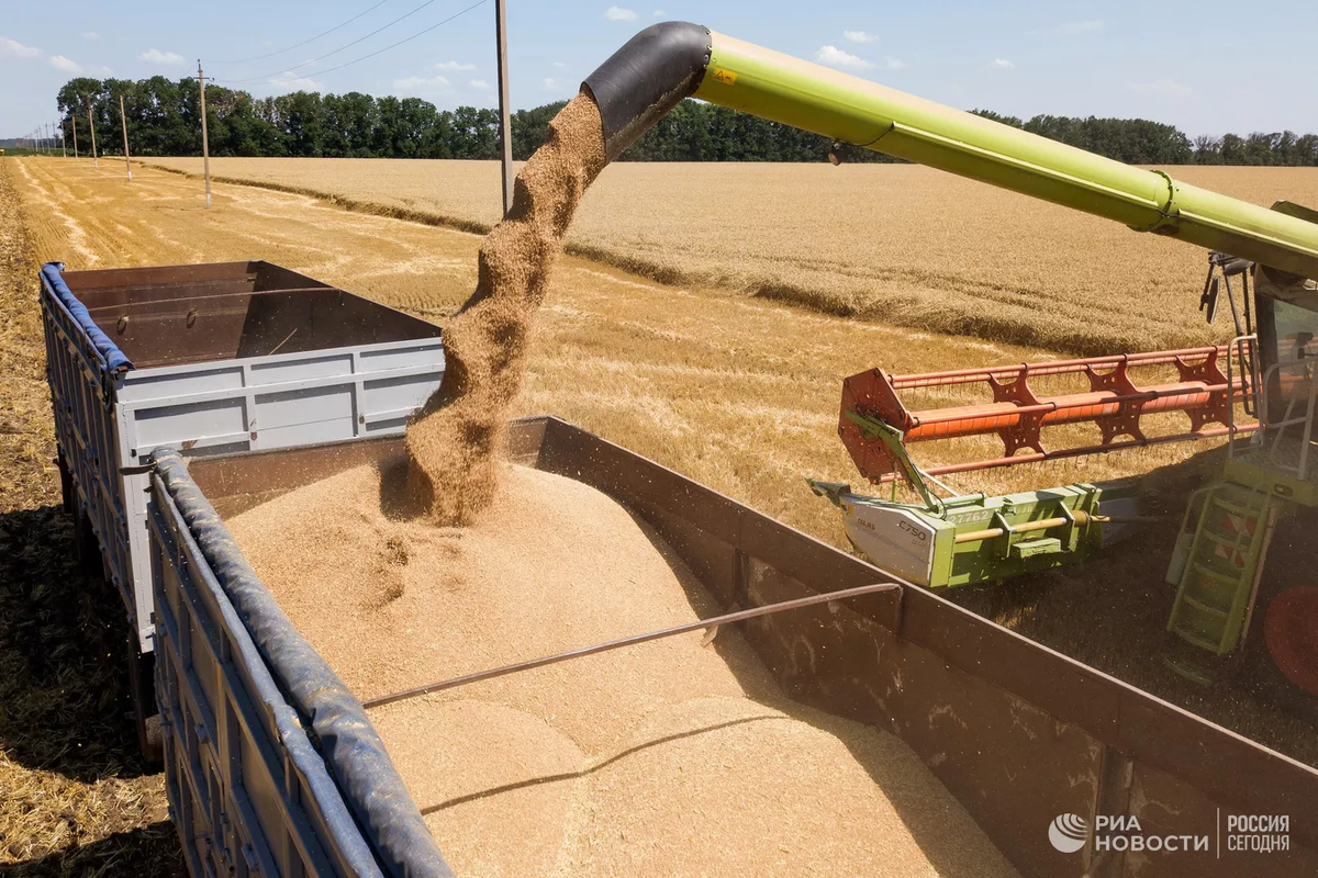 Украина может потерять около 40% посевных площадей.
Источник: https://ria.ru/20220401/posev-1781284942.html