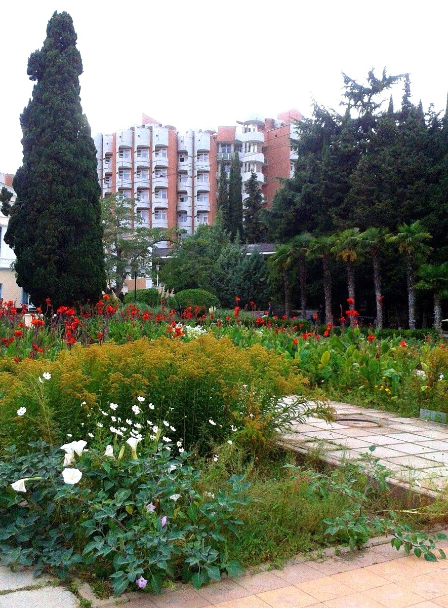 Вид на 5-й корпус санатория "Алушта". Фото автора