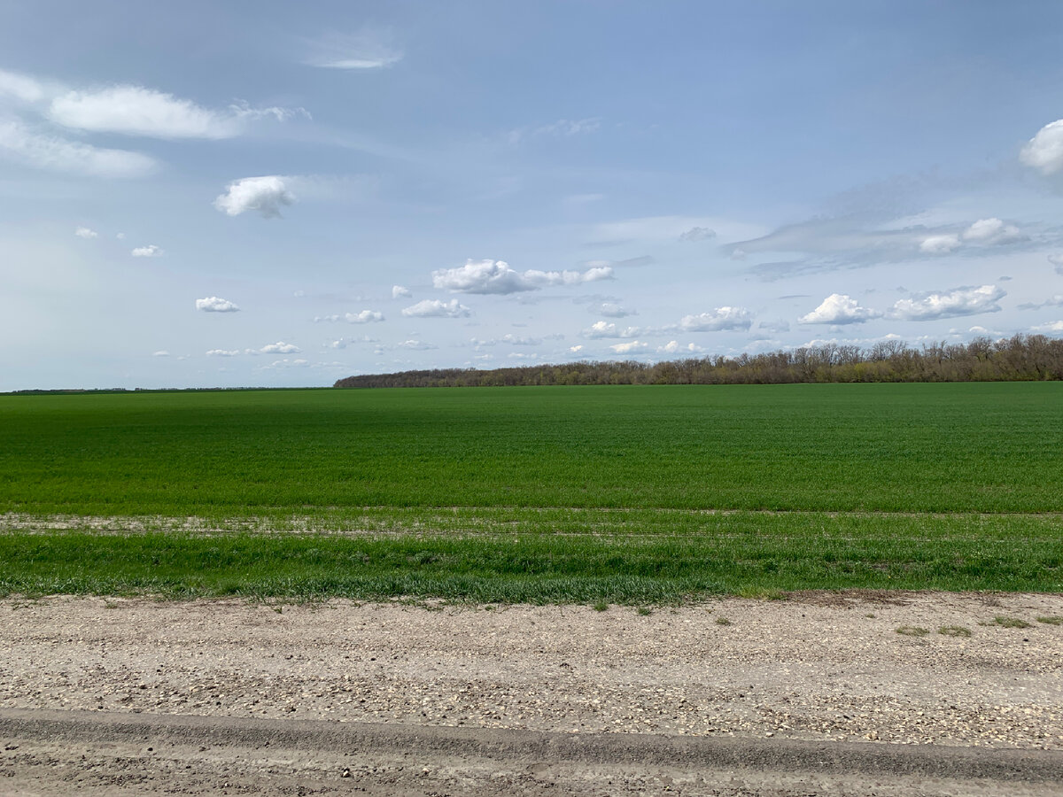 Почти лето)