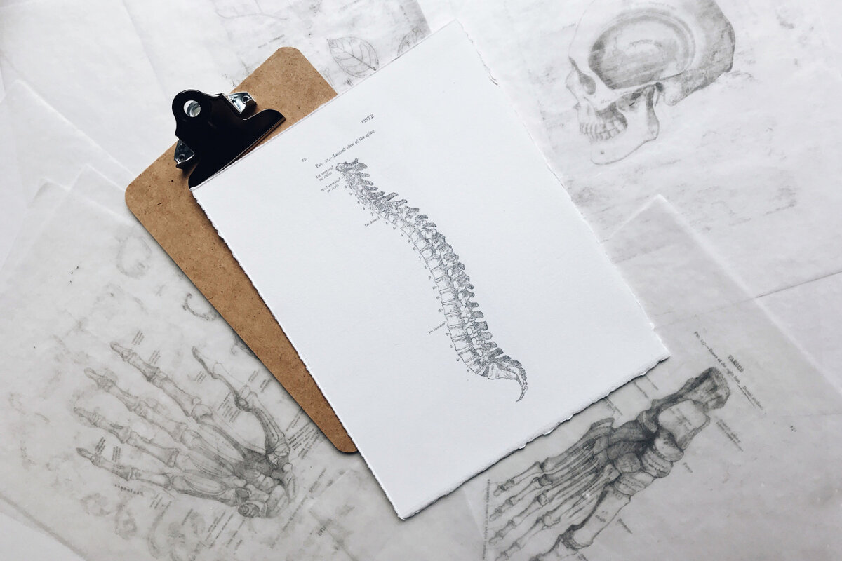 © JOYCE MCCOWN/UNSPLASH