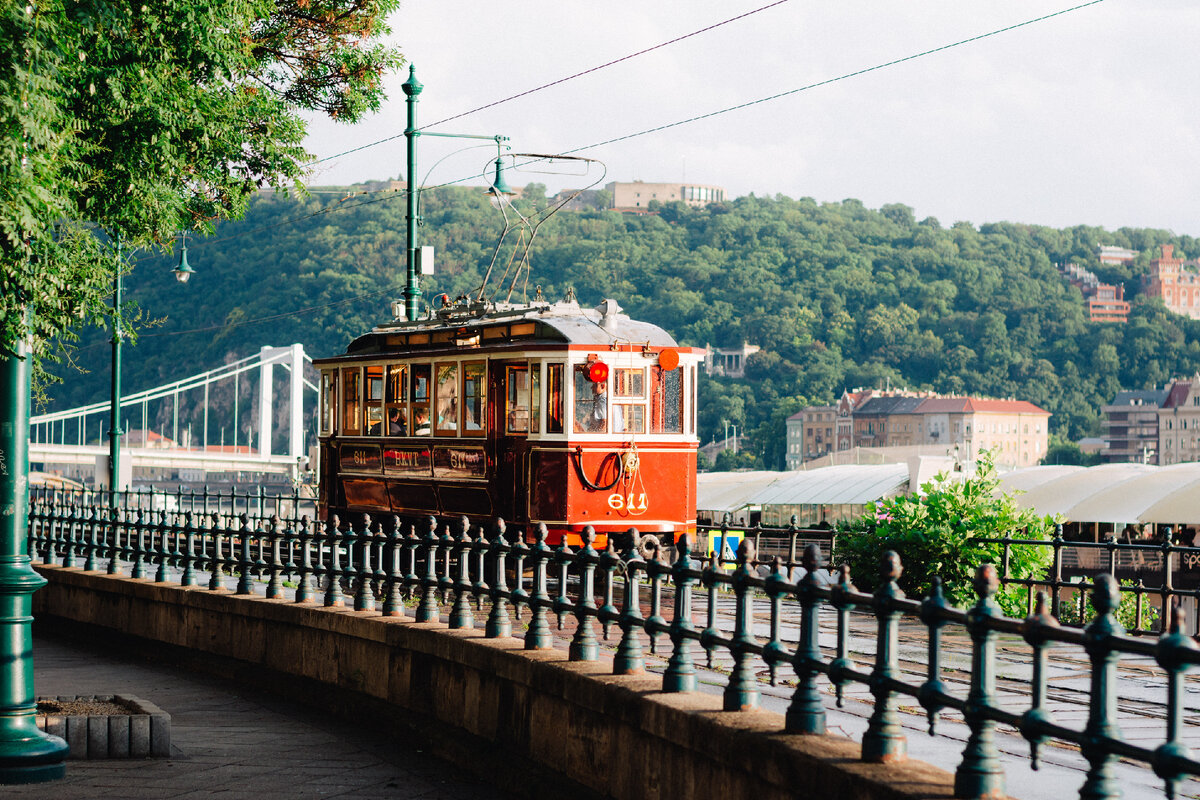 Источник изображения: https://unsplash.com/photos/fX92aR2Z4tE
