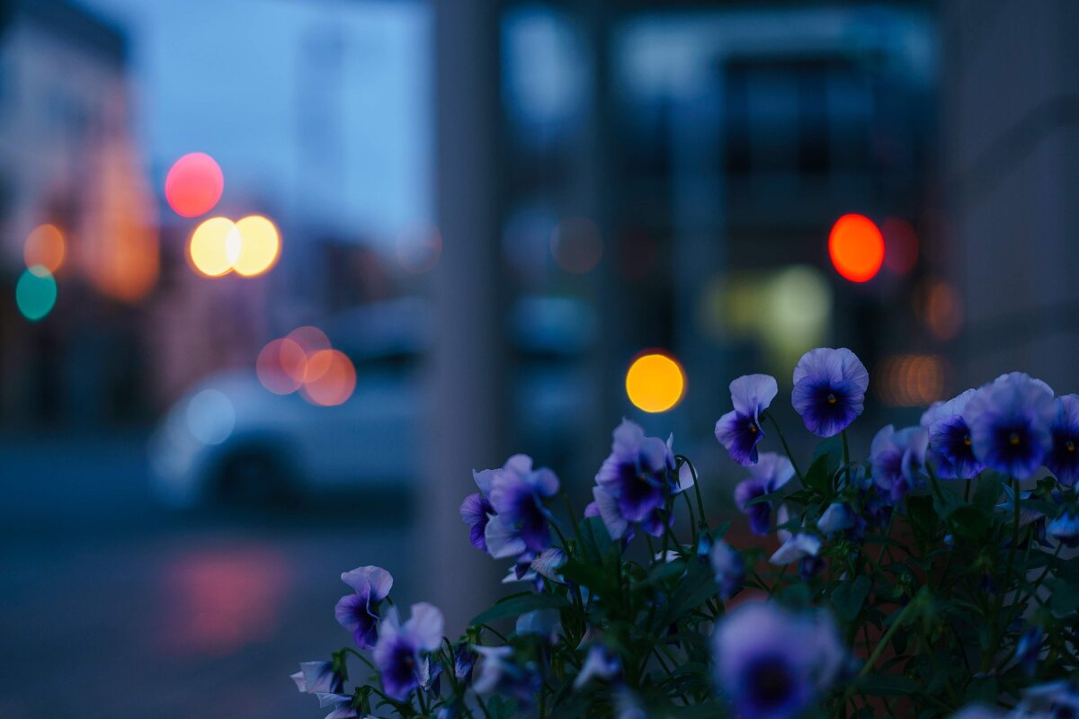 Картинка с бесплатного фотостока https://pixabay.com , автор mssk-anzu