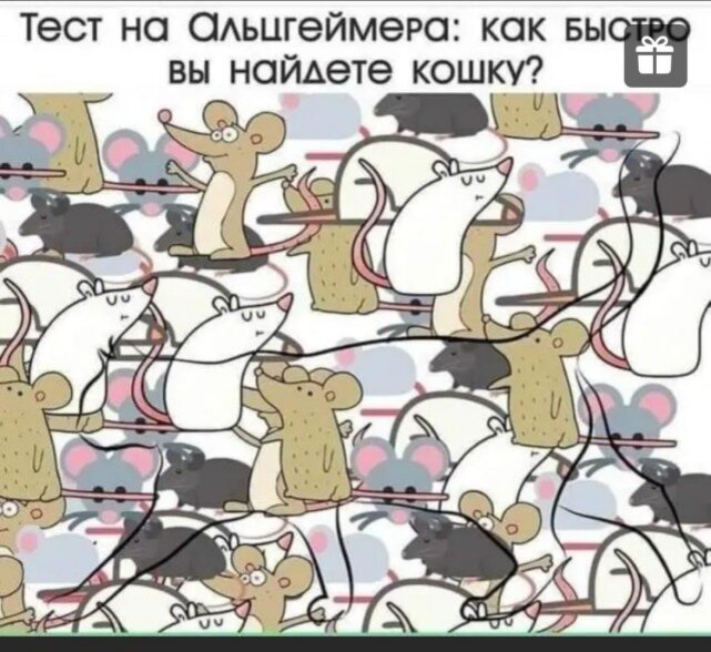 Фото с сайта https://zen.yandex.ru/id/612e0a9de8f508424b625d0b