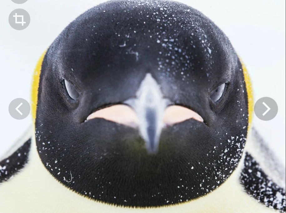 Linux forever