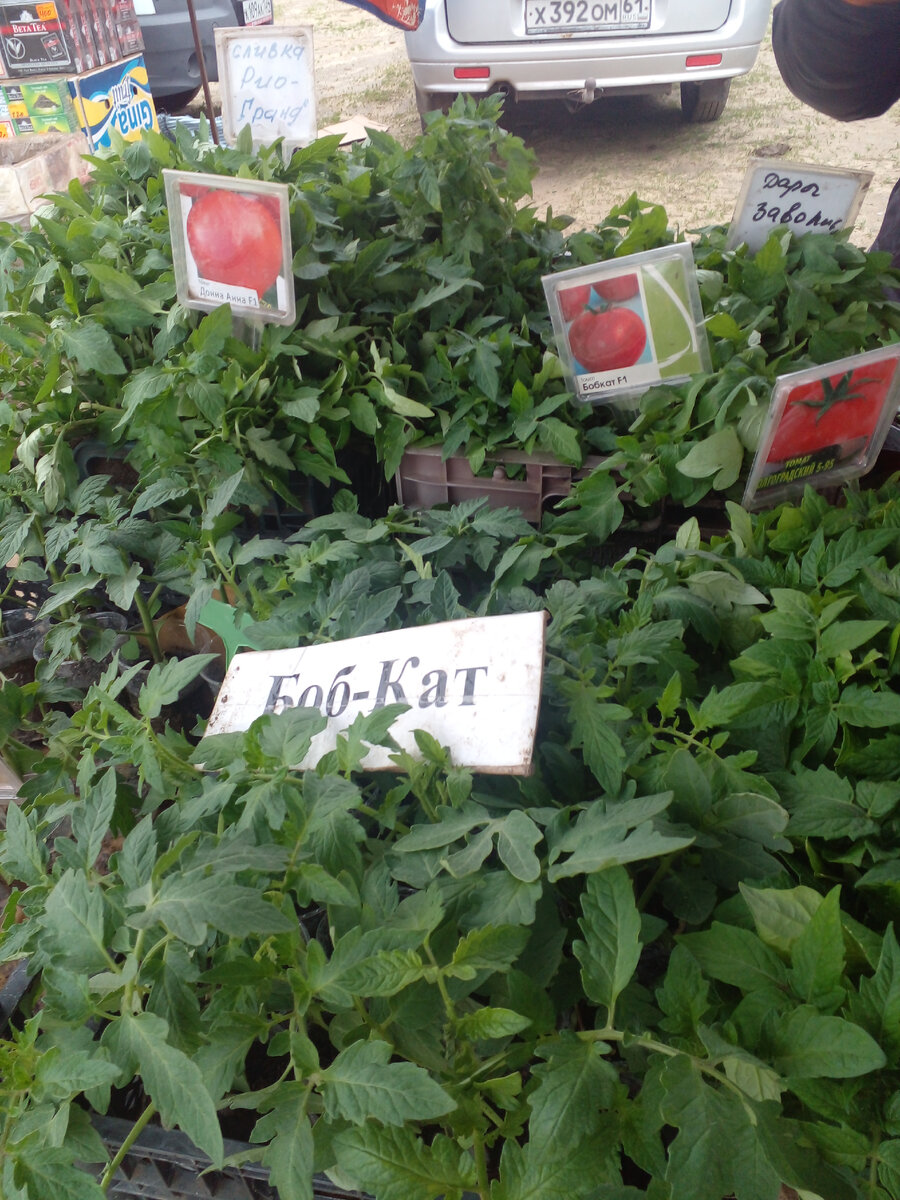 Как вам? Красота.