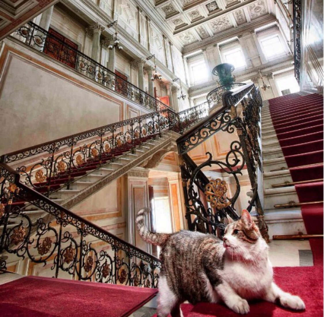 Фото:hermitagemuseum.org