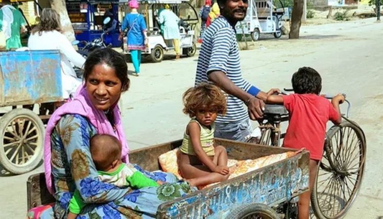 Фото: НИА "Экология"