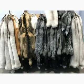Картинка из свободного доступа