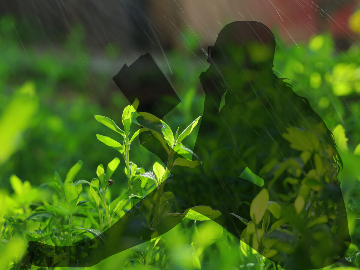 Поделюсь своим летним списком книг!