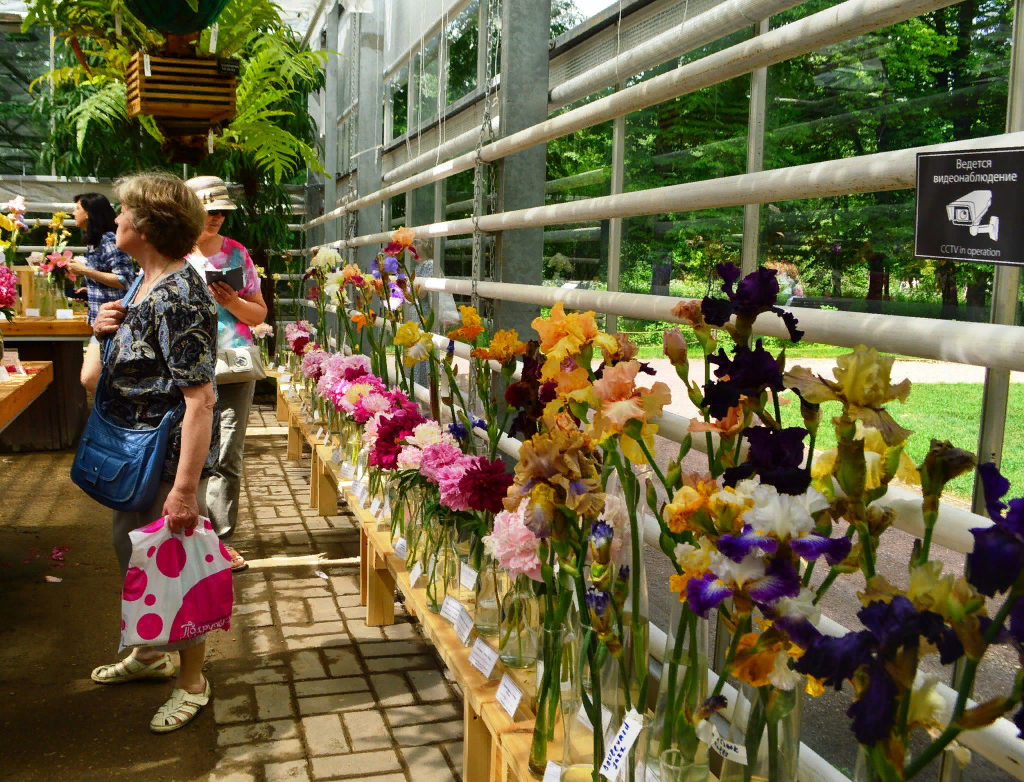 Выставка цветов в аптекарском огороде