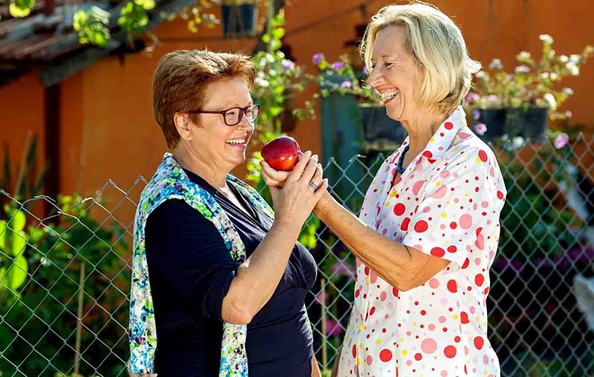 Вот как дружно живут соседи. (Фото из Google).