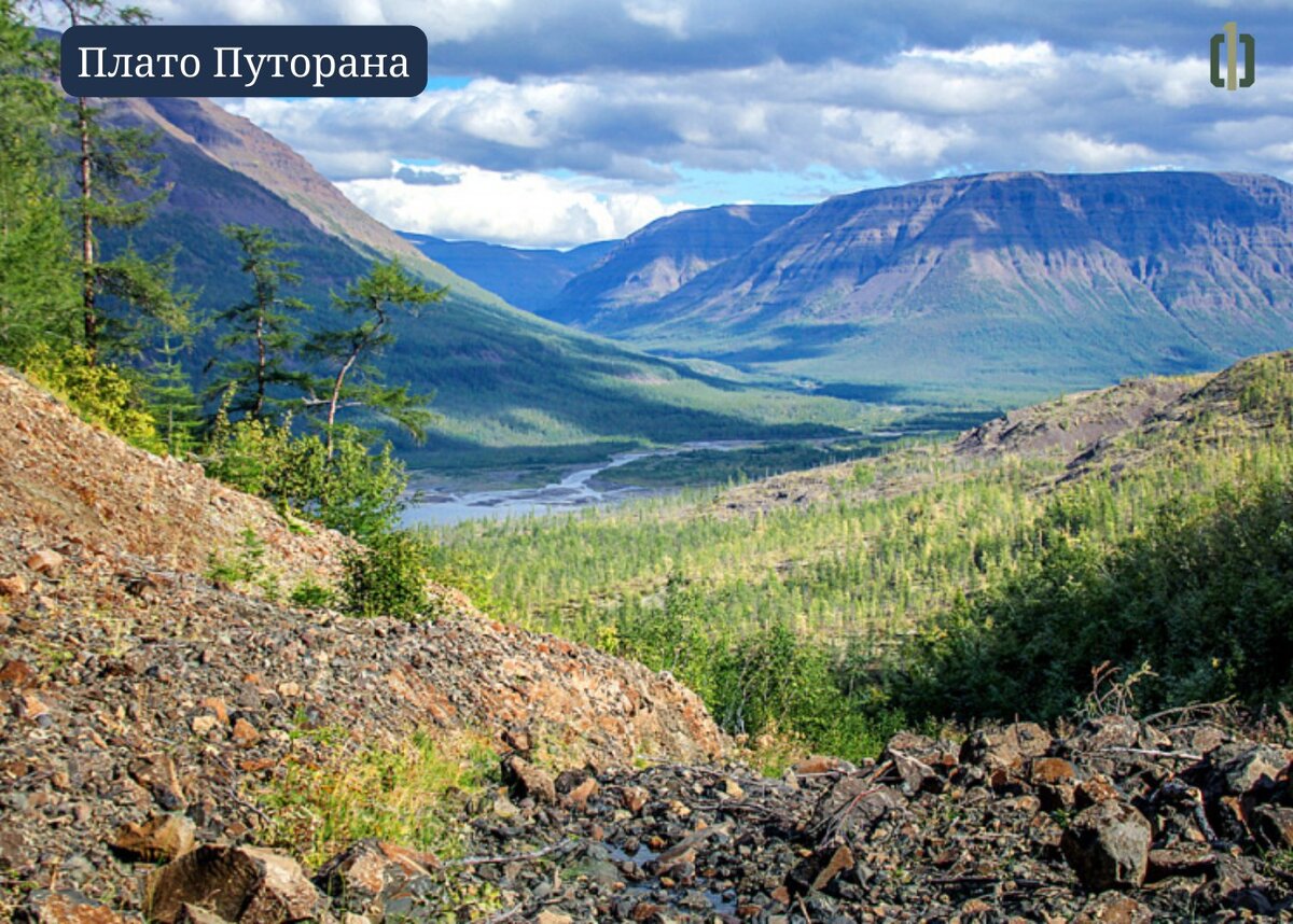 Заповедники таймыра. Плато Путорана заповедник. Заповедник Путорана Красноярский край. Путоранский заповедник, Таймыр. Путоранский заповедник ландшафт.