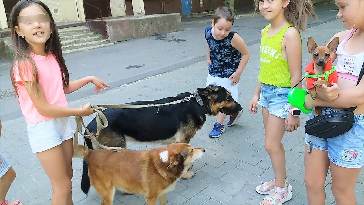 На первом плане, конечно - Рыжий