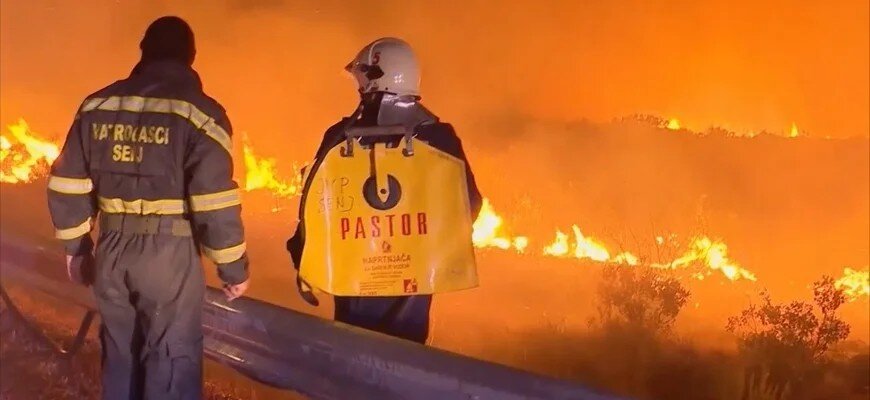 Курорт Водице стал жертвой пожаров ntdtv.ru