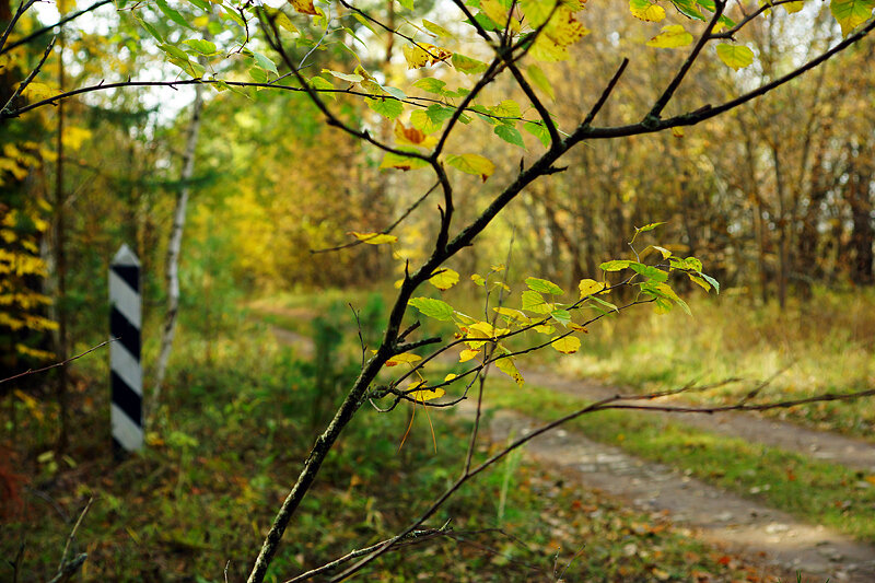 Старая челнинская ("Екатерининская") дорога, НП "Нижняя Кама", Малый бор