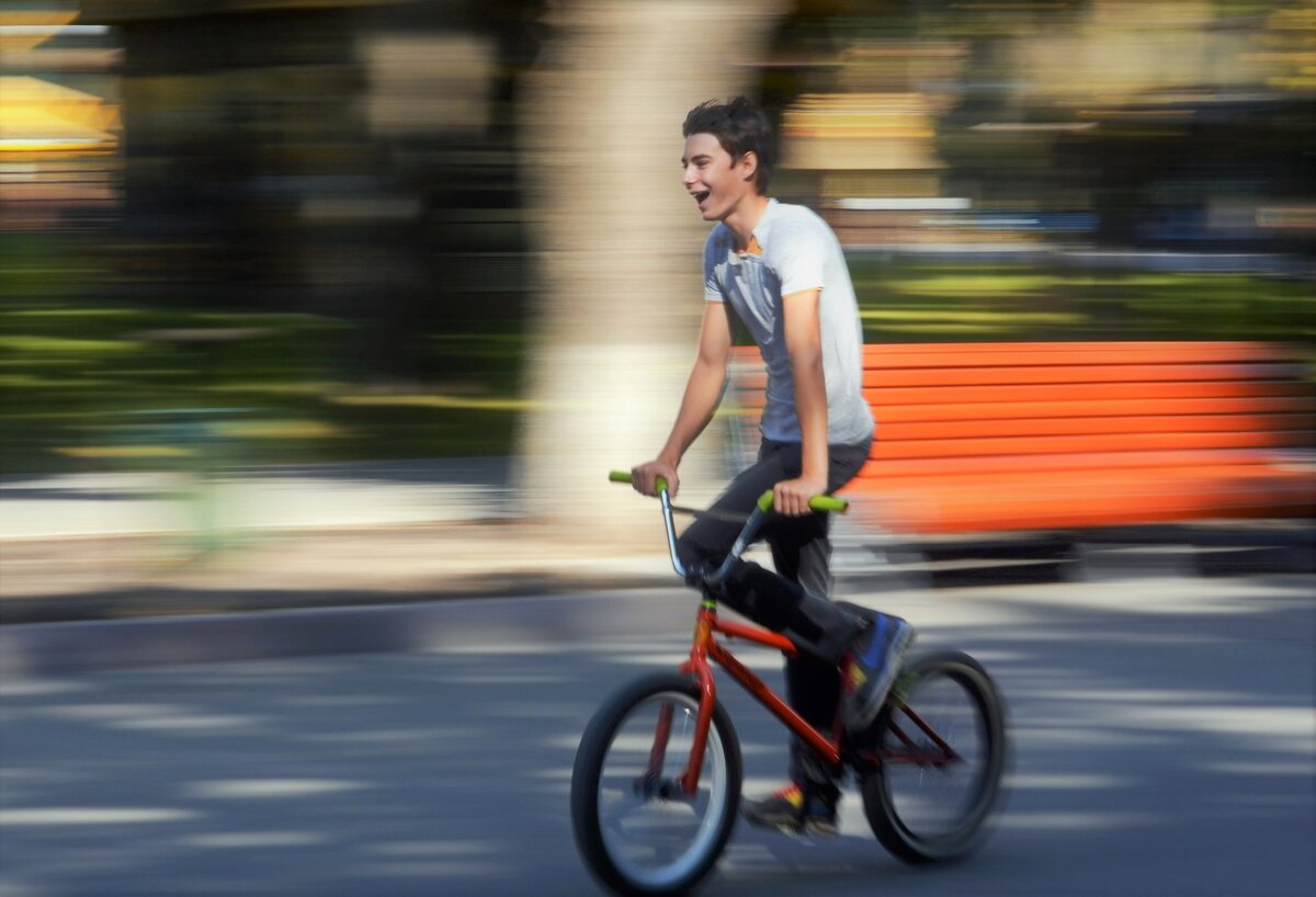 Фото из свободных источников