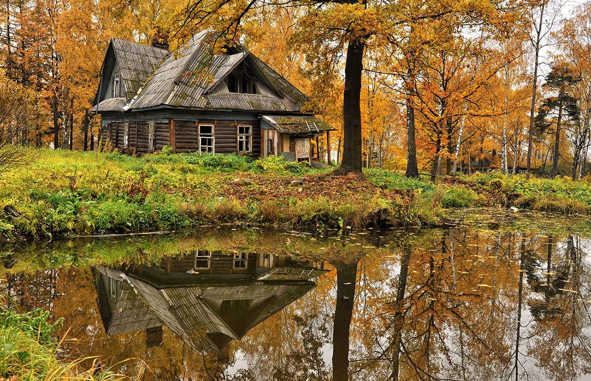 Яндекс картинки, фото с сайта adonius.club