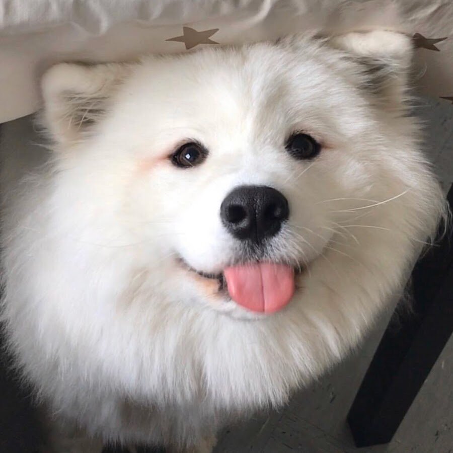 Фото взято из открытых источников , Яндекс картинки .