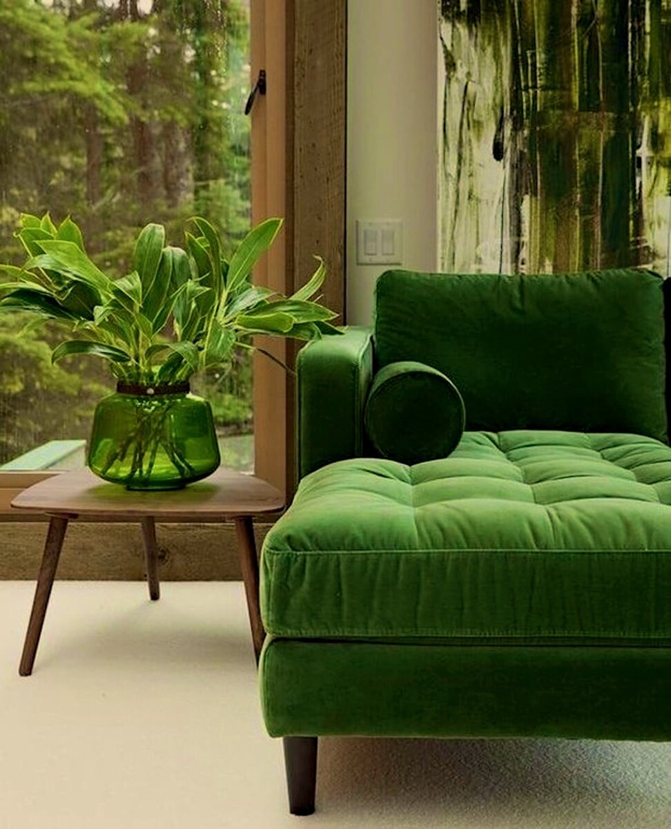 Фото взято из социальной сети гостиницы Hotel Cielo Rojo, hotelcielorojo.com 