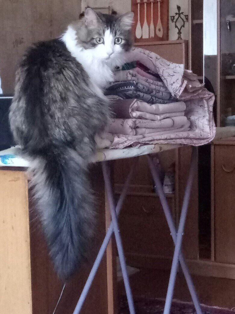 Помогает гладить!