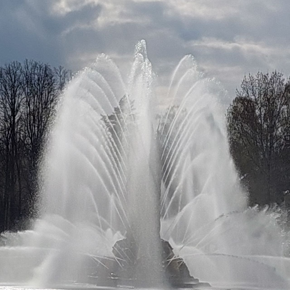 Фонтан "Золотой колос", 2022г., фото из личного архива автора статьи