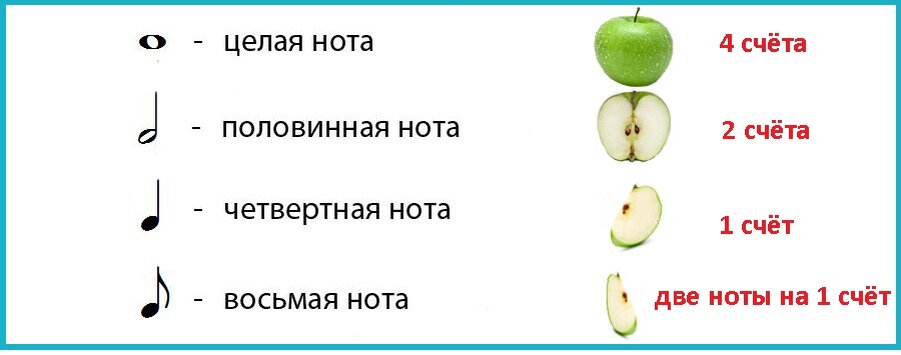 1 16 в музыке. Длительность нот яблоко. Длительности нот на примере яблока. Длительности нот для детей в картинках. Схема длительности нот.