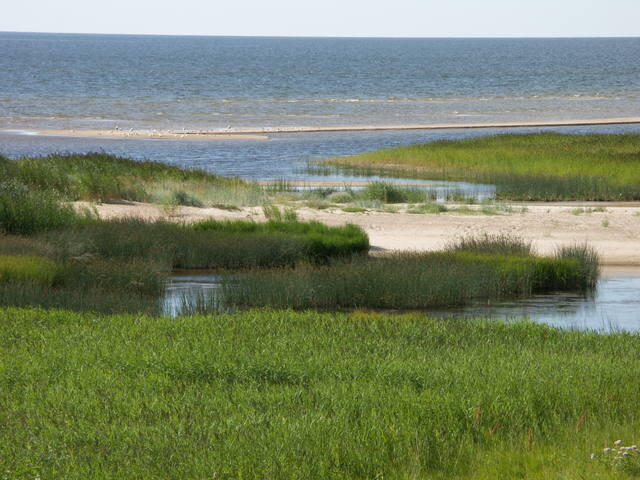 Айнажи. Латвия. В этих местах я любил пострелять уток в 80-х. Фото из интернета.