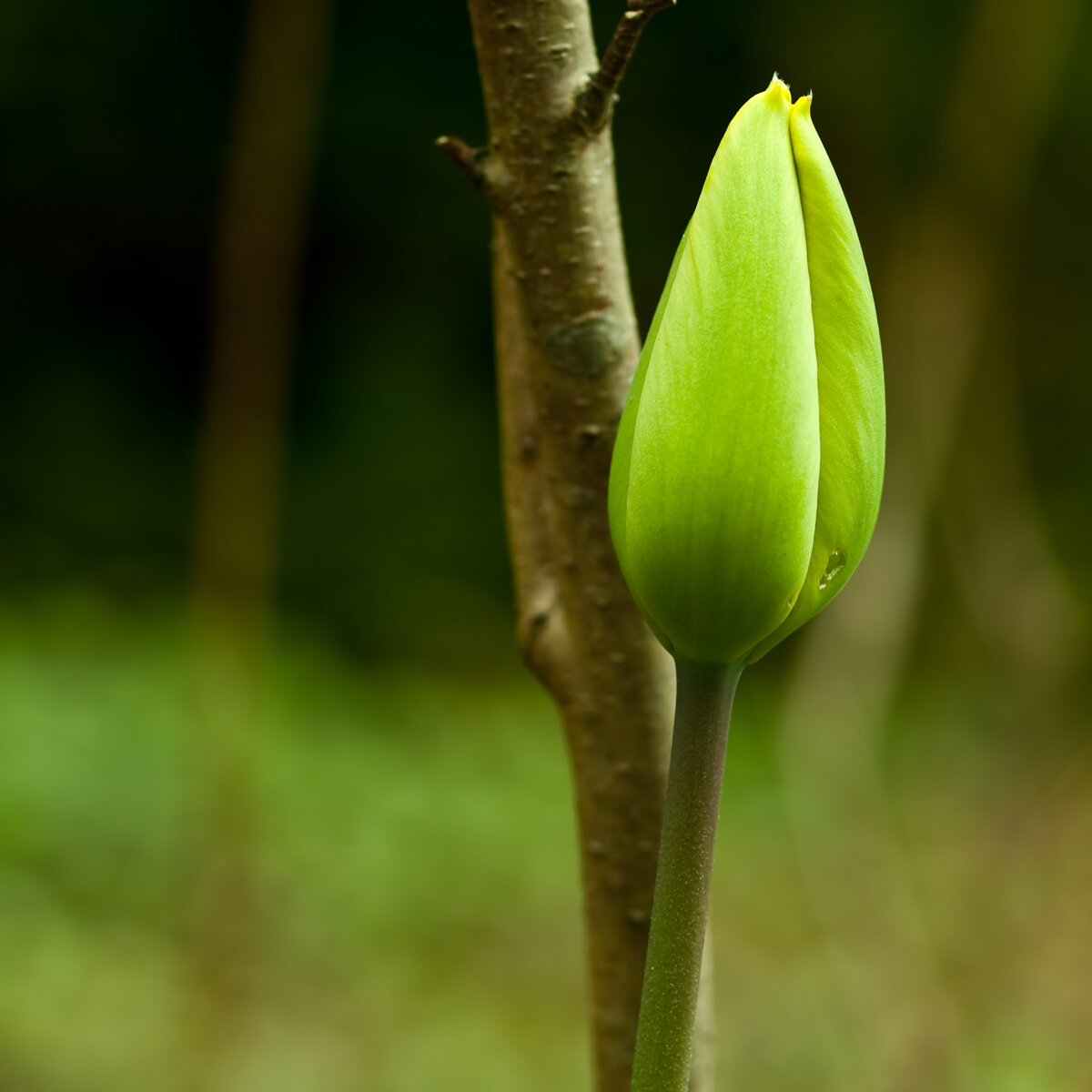 изображение: Freepik.com