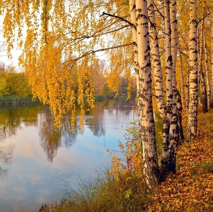 Какие бы ни были события, природа неизменна. И поражает нас красотой и гармонией. Изображение unsplash.com